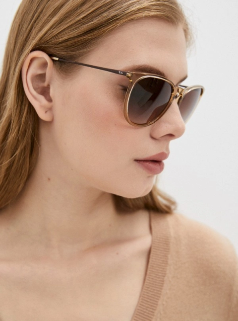 Ray-Ban 4171 651413 Erika (Size M) - Pilt 4